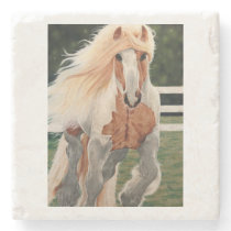 "Wild Horse" Coaster