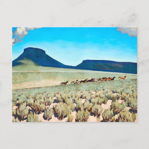 Wild Horse Country by Maynard Dixon Postcard