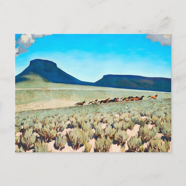 “Wild Horse Country” by Maynard Dixon Postcard (Front)