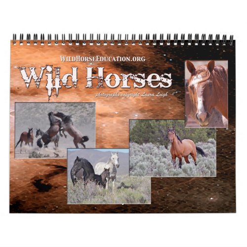Wild Horse Education  a calendar