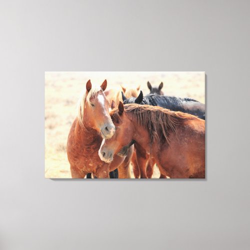 Wild Horse Family Ties Canvas Print