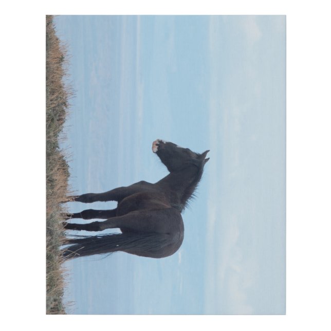 Wild Horse Faux Canvas Print (Front)