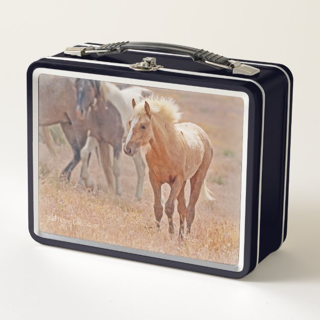 Wild horse foal lunchbox (Front)