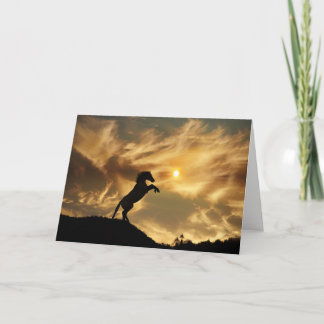 Wild Horse Funny Birthday Card