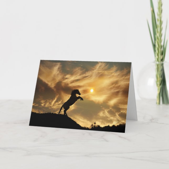 Wild Horse Funny Birthday Card (Front)