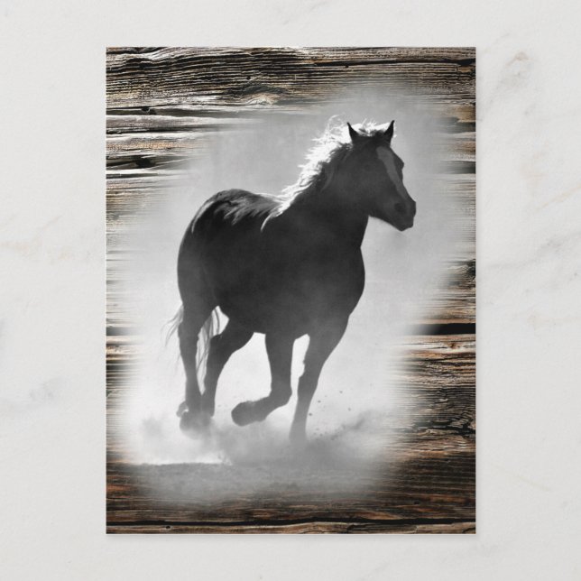 Wild Horse Galloping Announcement Postcard (Front)