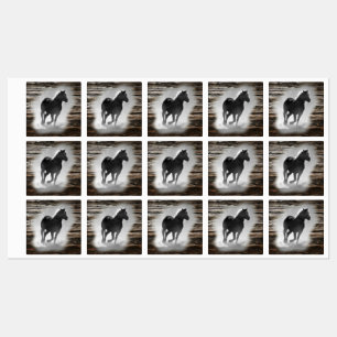 Wild Horse Galloping Labels