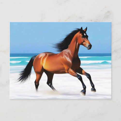 Wild Horse Galloping on a Beach Postcard