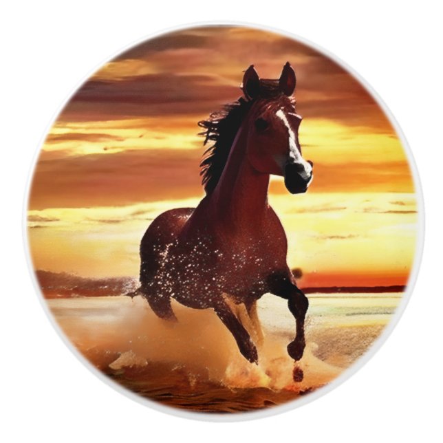 Wild Horse Galloping Through Surf Ceramic Knob (Front)