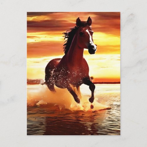 Wild Horse Galloping Through Surf Postcard