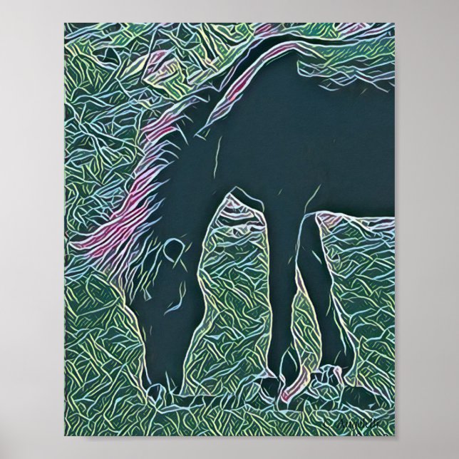 Wild horse  grazing on Shackleford Banks Poster (Front)