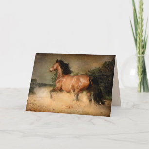 wild horse greeting card