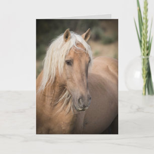 Wild Horse Greeting Card- Corona's Summer Portrait Card