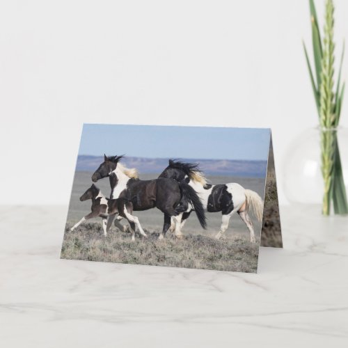 Wild Horse Greeting Card _ Gadriel and His Family