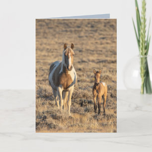 Wild Horse Greeting Card - Grace and Donata