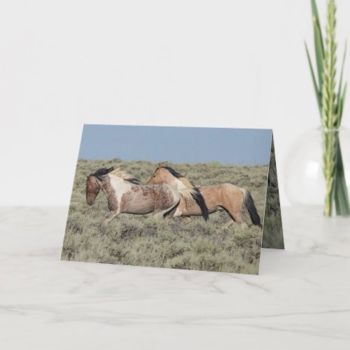Wild Horse Greeting Card Two Colorful Stallions