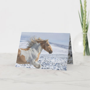 Wild Horse Greeting Card Tyr Runs