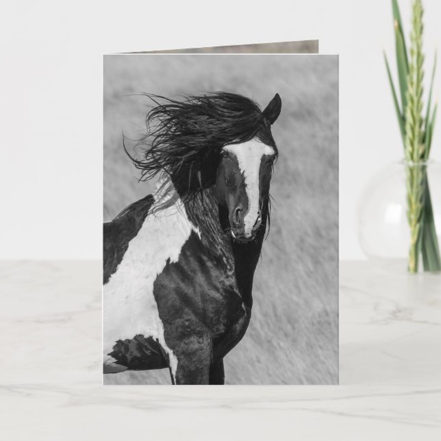 Wild Horse Greeting Card - Washakie on Fire (Front)