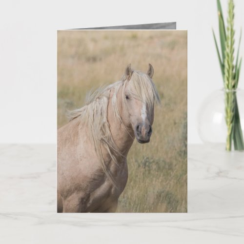 Wild Horse Greeting Card _ Wild Palomino Stallion
