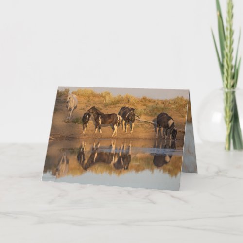 Wild Horse Greeting Cards _ Wild Family at Oasis