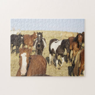 Wild Horse Jigsaw Puzzle