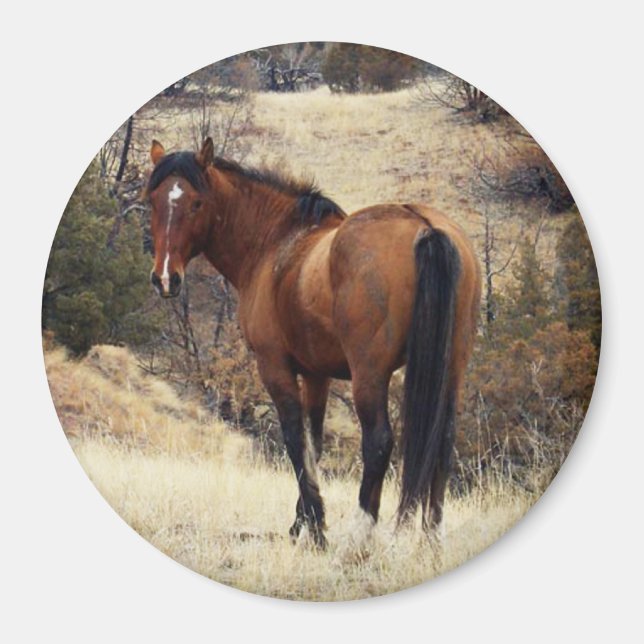 Wild Horse Magnet (Front)