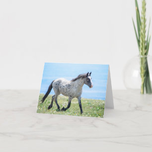 Wild Horse Mica/Mato Ska Running Card