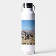 Wild Horse Monument Water Bottle