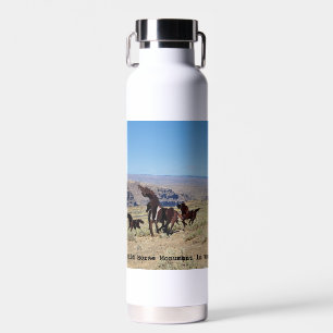 Wild Horse Monument Water Bottle