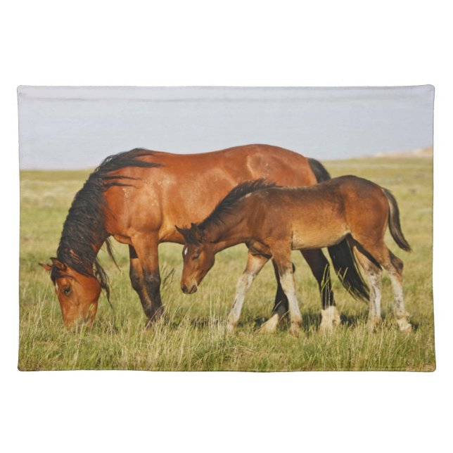 Wild Horse Mother and Colt Grazing Cloth Placemat (Front)