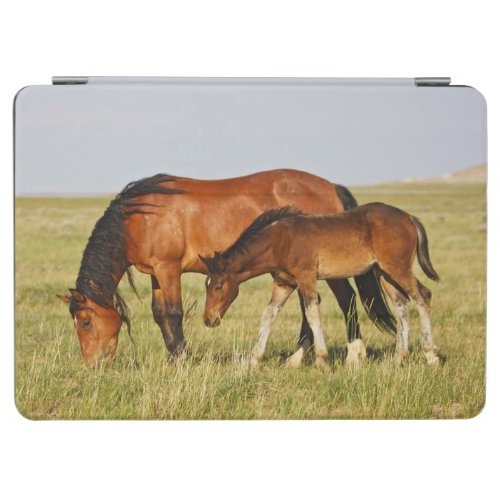 Wild Horse Mother and Colt Grazing iPad Air Cover