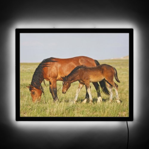 Wild Horse Mother and Colt Grazing LED Sign