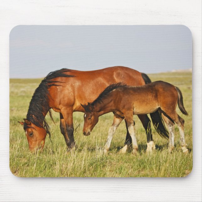 Wild Horse Mother and Colt Grazing Mouse Pad (Front)