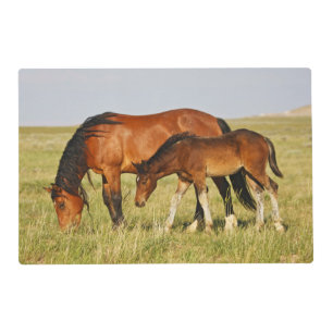 Wild Horse Mother and Colt Grazing Placemat
