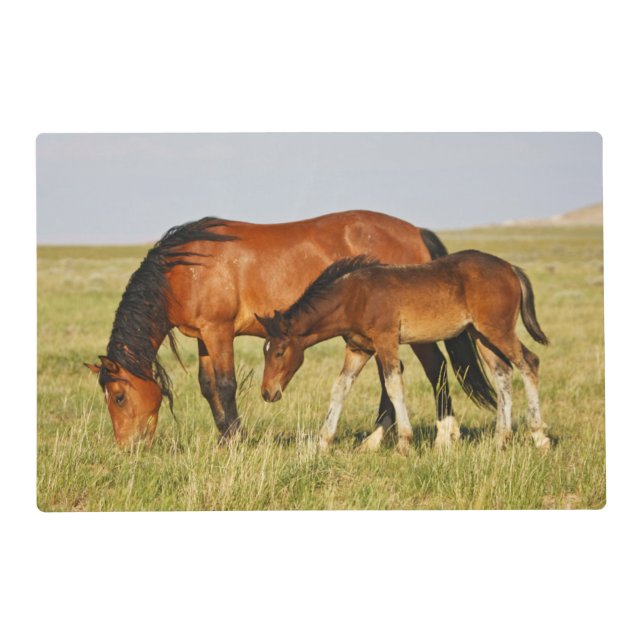Wild Horse Mother and Colt Grazing Placemat (Front)