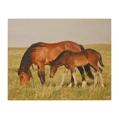 Wild Horse Mother and Colt Grazing Wood Wall Art