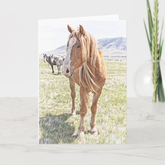 Wild Horse Mustang Greeting Card (blank inside) (Front)