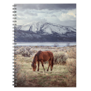 Wild horse: Nevada winter landscape. Notebook