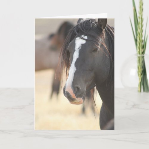 WILD HORSE NOTE CARD