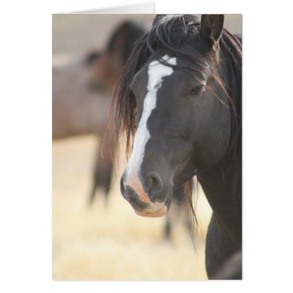 WILD HORSE NOTE CARD