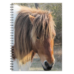 wild horse notebook