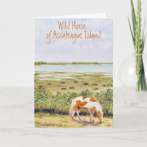 Wild Horse of Assateague Island Card