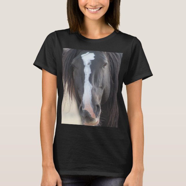 WILD HORSE OF ONAQUI MOUNTAINS OF UTAH STALLION T-Shirt (Front)