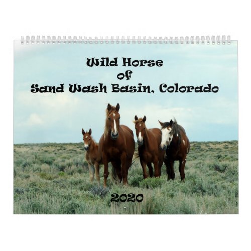 Wild Horse of Sand Wash Basin Calendar
