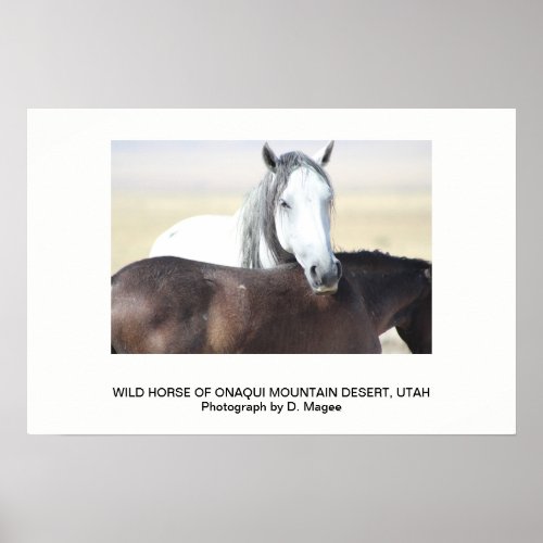 WILD HORSE OF THE ONAQUI MOUNTAINS UTAH POSTER