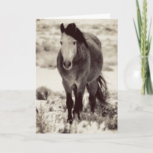 WILD HORSE OF UTAH Folded Greeting Card