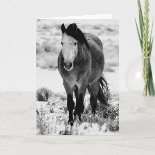 WILD HORSE OF UTAH Folded Greeting Card (Front)