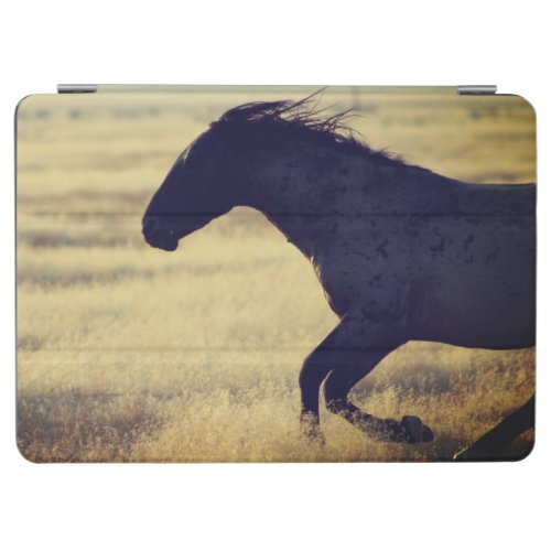 WILD HORSE OF UTAH ONAQUI STALLION IPAD SMART CASE