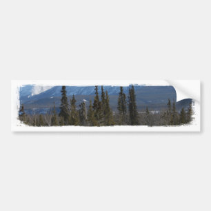 Wild Horse on Alaska Highway Bumper Sticker