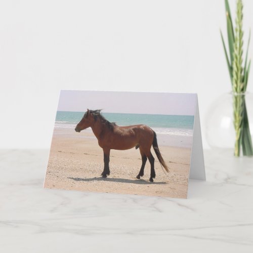 Wild Horse on the Beach Outer Banks NC Note Card